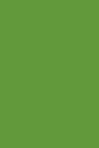 Pastore - Colore Verde Giallastro RAL 6018