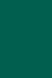 Pastore - Colore Verde Opale RAL 6026